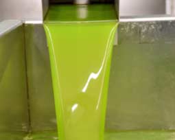 Olivenölproduktion